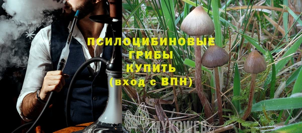 ПСИЛОЦИБИНОВЫЕ ГРИБЫ Абдулино